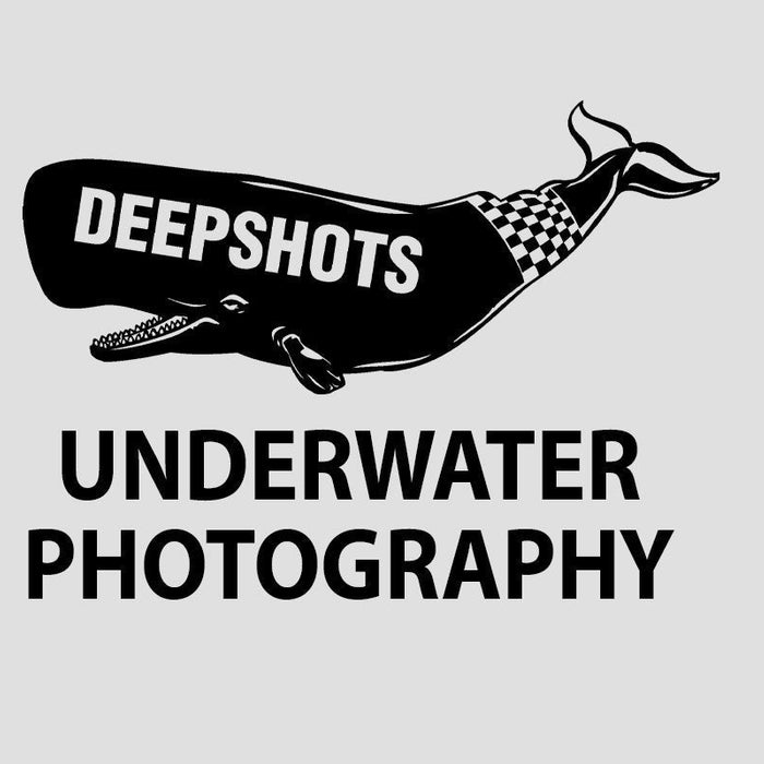 Welcome to Deepshots Underwater Photography Store.