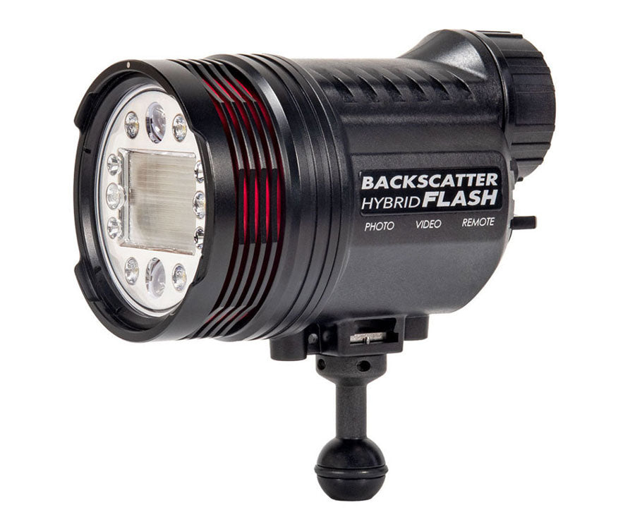 Backscatter HF-1 Hybrid Flash and Video Light - SPRING SALE