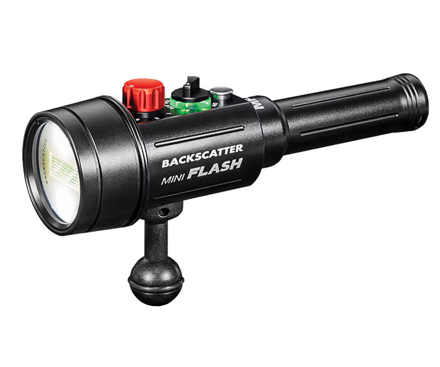 Backscatter Mini Flash 3 Strobe and Snoot Combo