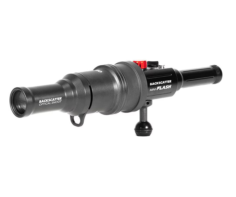 Backscatter Mini Flash 3 Strobe and Snoot Combo