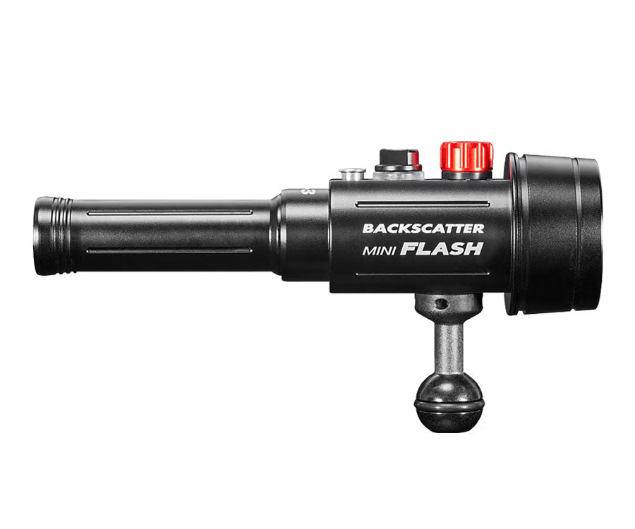 Backscatter Mini Flash 3 Strobe and Snoot Combo