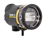 Sea & Sea YS-D3 Duo Strobe